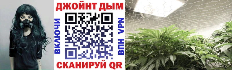 Каннабис Bruce Banner Кочубеевское